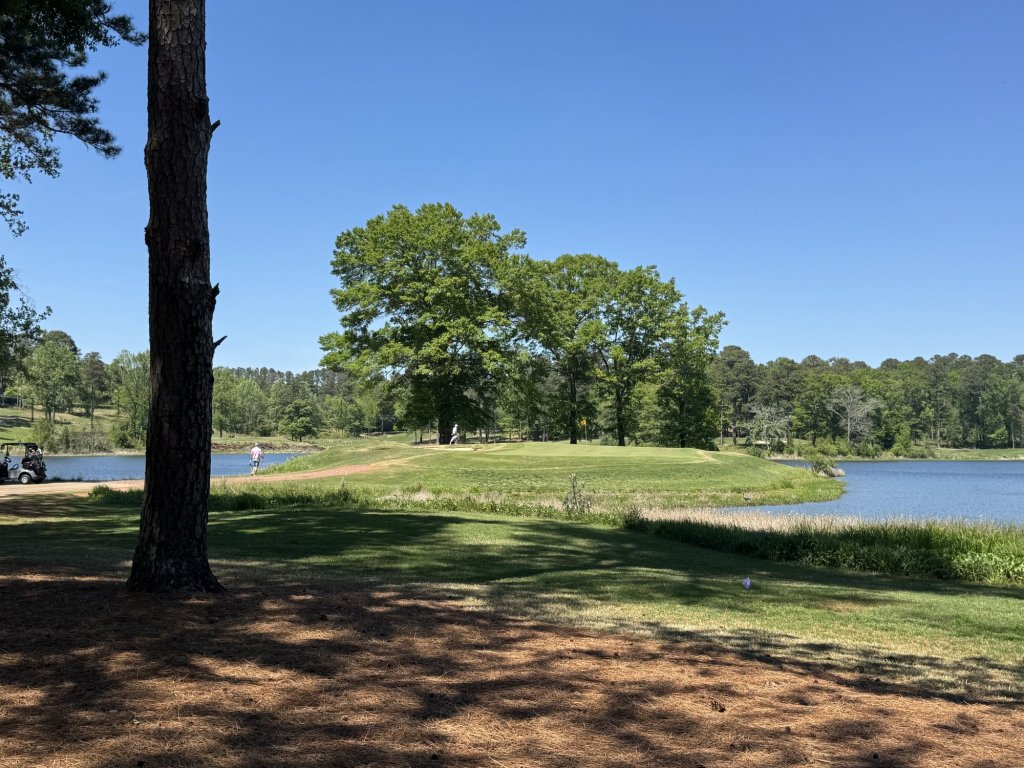 A fairway and green beside a lake framed by pine and oak trees at Grand National, Opelika, Alabama